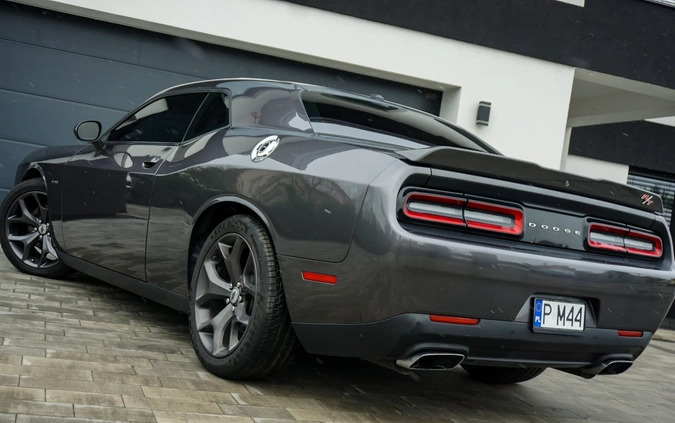 Dodge Challenger cena 129990 przebieg: 101000, rok produkcji 2019 z Czarnków małe 172